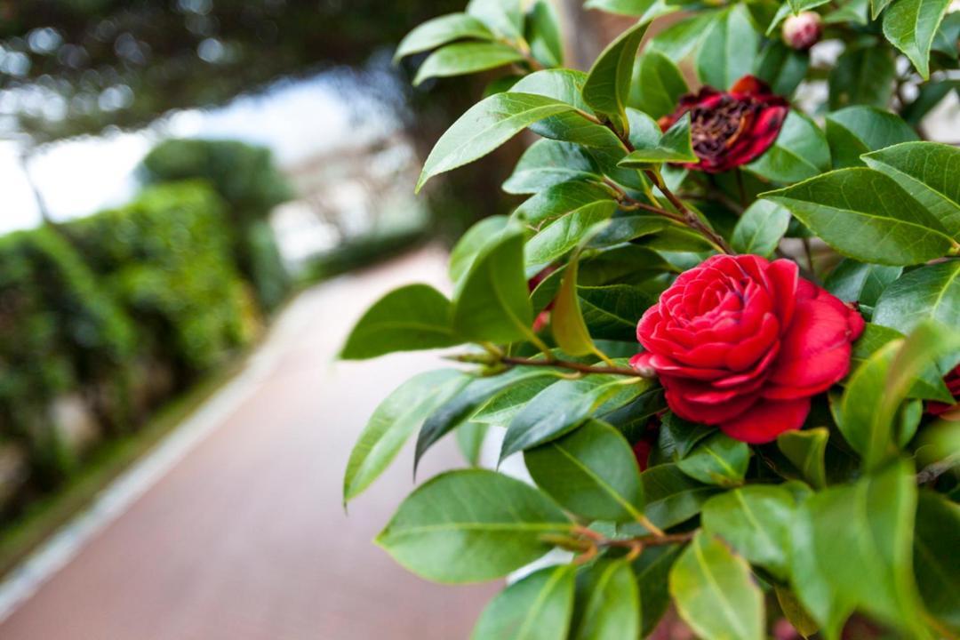 Na' Poesia B&B Di Charme SantʼAgata deʼ Goti Dış mekan fotoğraf